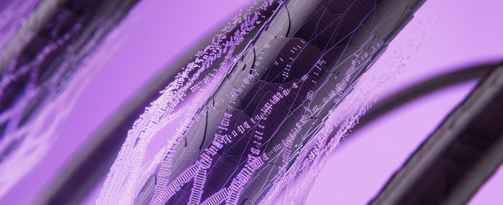 Header 14