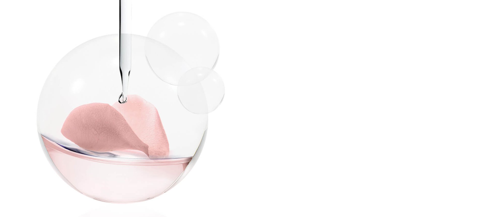 BANNERS PIVOINE 20