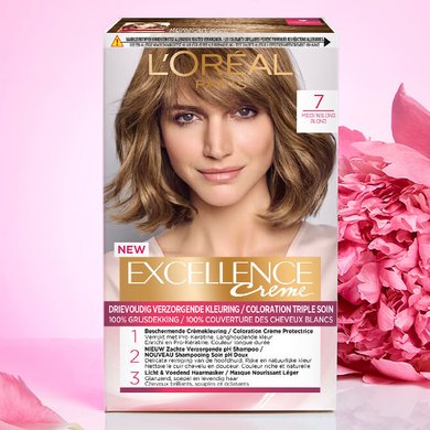 Excellence Creme Met Roos 1125x667px