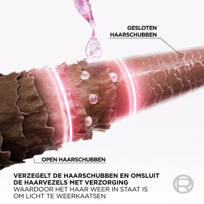 5 NL