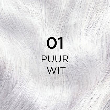 01 NL
