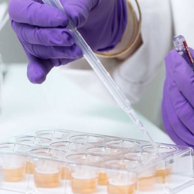 02 The Other Side Wirksamkeit